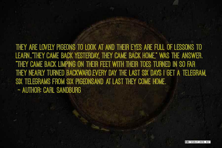 Carl Sandburg Quotes: They Are Lovely Pigeons To Look At And Their Eyes Are Full Of Lessons To Learn..they Came Back Yesterday, They