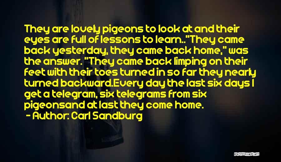 Carl Sandburg Quotes: They Are Lovely Pigeons To Look At And Their Eyes Are Full Of Lessons To Learn..they Came Back Yesterday, They