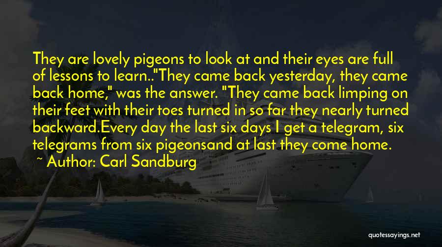 Carl Sandburg Quotes: They Are Lovely Pigeons To Look At And Their Eyes Are Full Of Lessons To Learn..they Came Back Yesterday, They