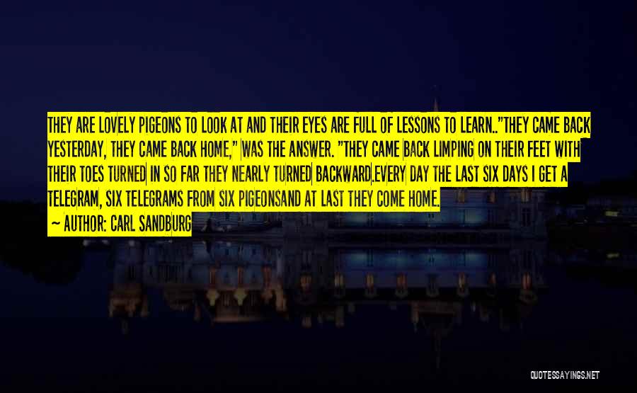 Carl Sandburg Quotes: They Are Lovely Pigeons To Look At And Their Eyes Are Full Of Lessons To Learn..they Came Back Yesterday, They