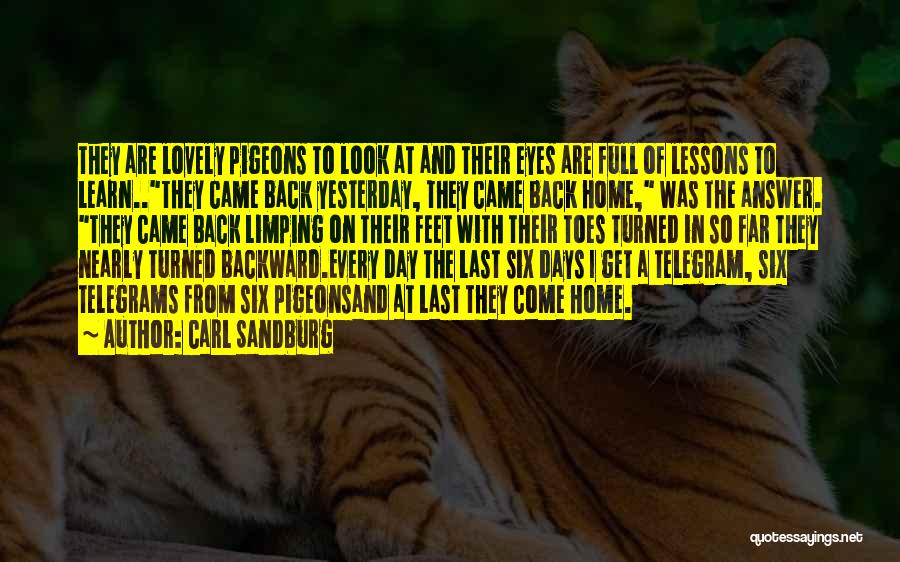 Carl Sandburg Quotes: They Are Lovely Pigeons To Look At And Their Eyes Are Full Of Lessons To Learn..they Came Back Yesterday, They