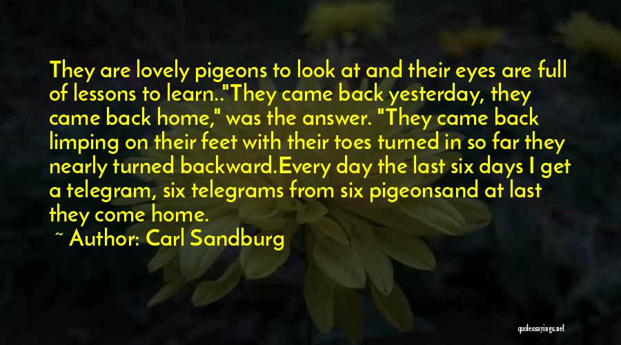 Carl Sandburg Quotes: They Are Lovely Pigeons To Look At And Their Eyes Are Full Of Lessons To Learn..they Came Back Yesterday, They