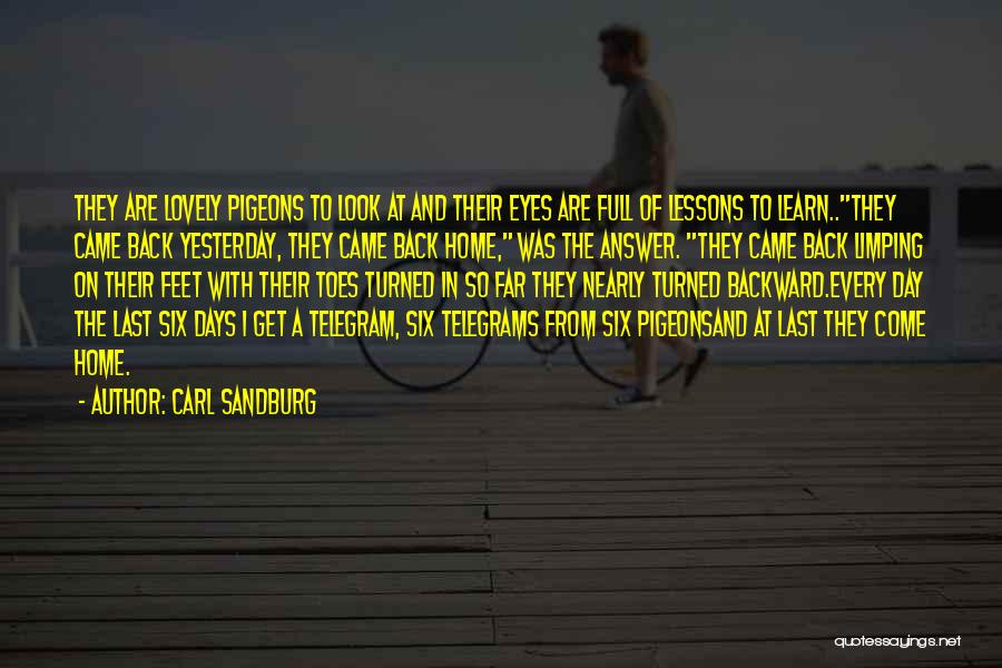 Carl Sandburg Quotes: They Are Lovely Pigeons To Look At And Their Eyes Are Full Of Lessons To Learn..they Came Back Yesterday, They