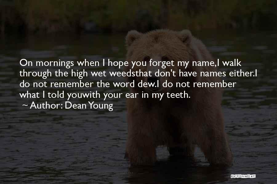 Dean Young Quotes: On Mornings When I Hope You Forget My Name,i Walk Through The High Wet Weedsthat Don't Have Names Either.i Do