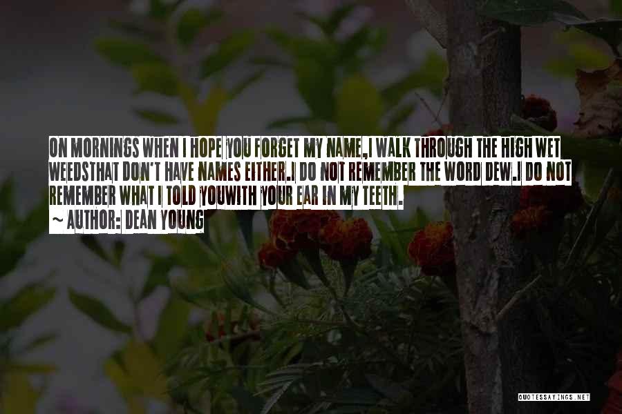 Dean Young Quotes: On Mornings When I Hope You Forget My Name,i Walk Through The High Wet Weedsthat Don't Have Names Either.i Do