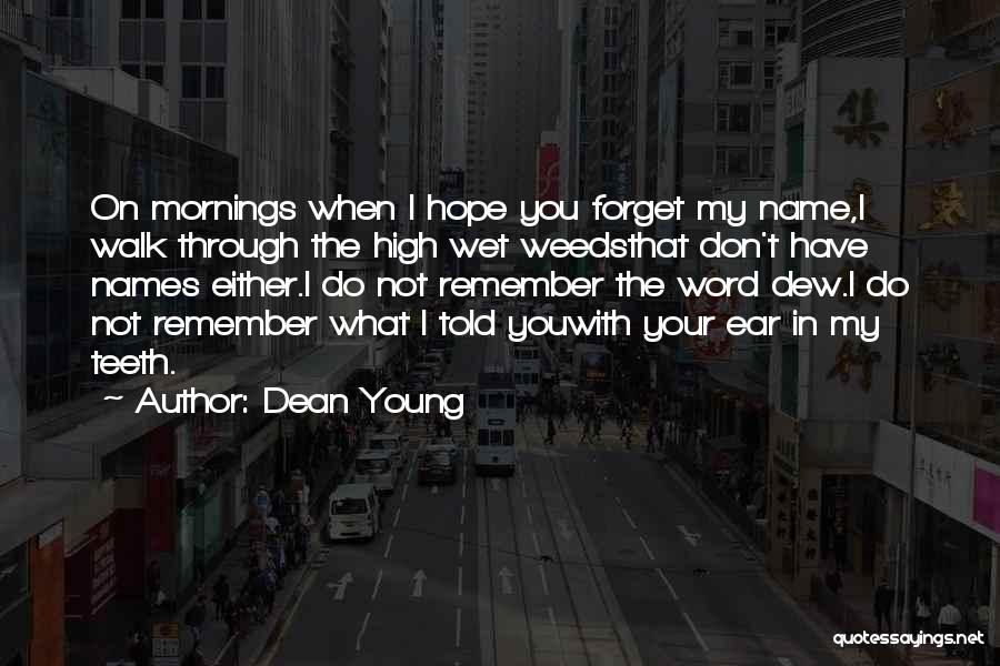 Dean Young Quotes: On Mornings When I Hope You Forget My Name,i Walk Through The High Wet Weedsthat Don't Have Names Either.i Do