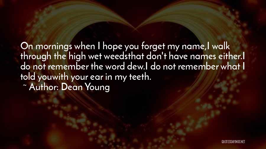 Dean Young Quotes: On Mornings When I Hope You Forget My Name,i Walk Through The High Wet Weedsthat Don't Have Names Either.i Do