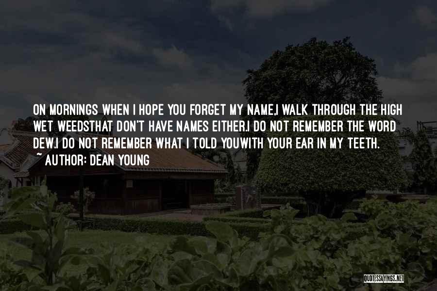 Dean Young Quotes: On Mornings When I Hope You Forget My Name,i Walk Through The High Wet Weedsthat Don't Have Names Either.i Do