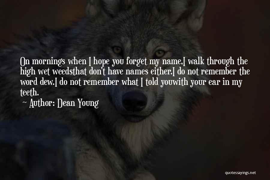 Dean Young Quotes: On Mornings When I Hope You Forget My Name,i Walk Through The High Wet Weedsthat Don't Have Names Either.i Do