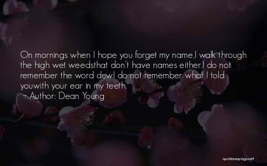 Dean Young Quotes: On Mornings When I Hope You Forget My Name,i Walk Through The High Wet Weedsthat Don't Have Names Either.i Do