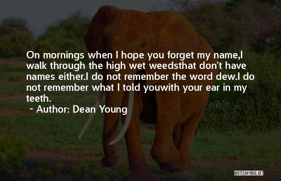 Dean Young Quotes: On Mornings When I Hope You Forget My Name,i Walk Through The High Wet Weedsthat Don't Have Names Either.i Do