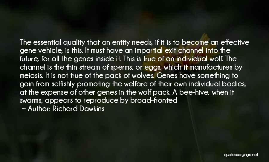 Richard Dawkins Quotes: The Essential Quality That An Entity Needs, If It Is To Become An Effective Gene Vehicle, Is This. It Must