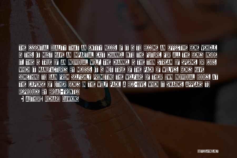 Richard Dawkins Quotes: The Essential Quality That An Entity Needs, If It Is To Become An Effective Gene Vehicle, Is This. It Must