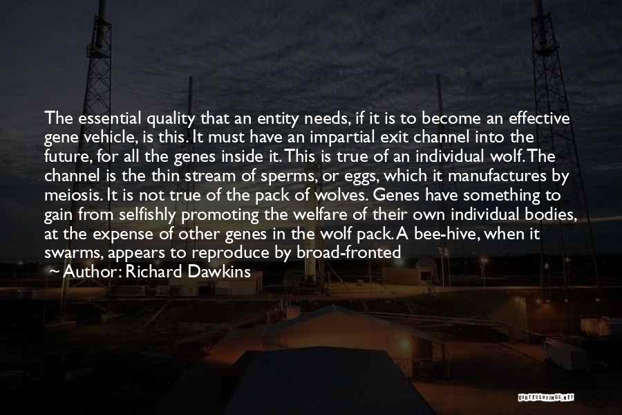 Richard Dawkins Quotes: The Essential Quality That An Entity Needs, If It Is To Become An Effective Gene Vehicle, Is This. It Must