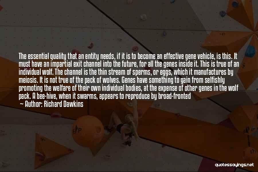 Richard Dawkins Quotes: The Essential Quality That An Entity Needs, If It Is To Become An Effective Gene Vehicle, Is This. It Must