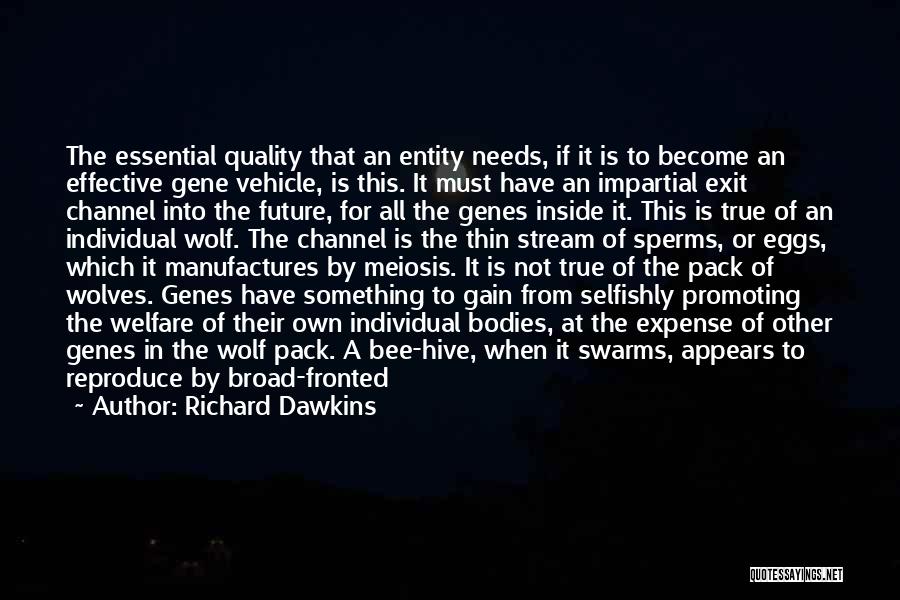 Richard Dawkins Quotes: The Essential Quality That An Entity Needs, If It Is To Become An Effective Gene Vehicle, Is This. It Must