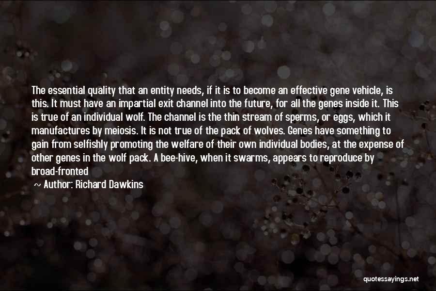 Richard Dawkins Quotes: The Essential Quality That An Entity Needs, If It Is To Become An Effective Gene Vehicle, Is This. It Must