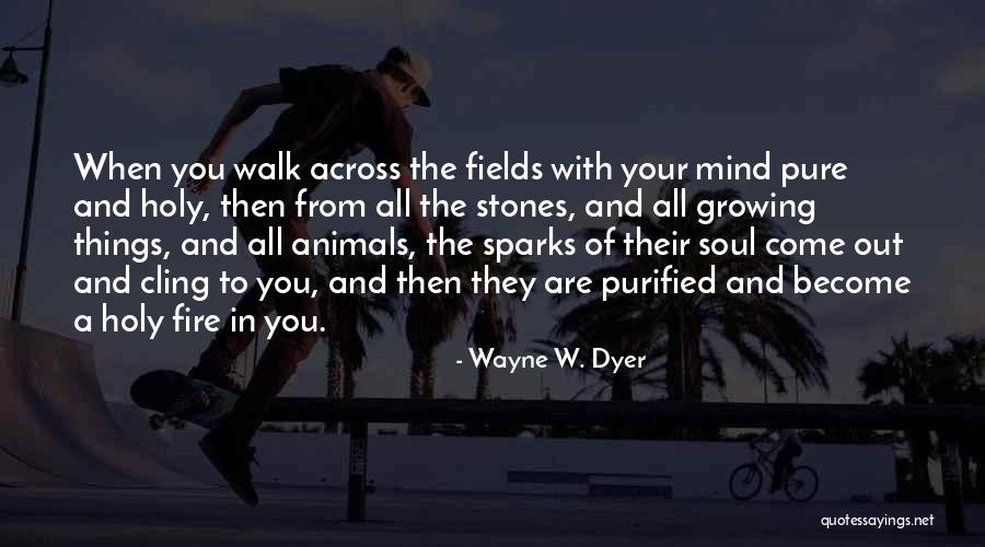 161597 Quotes By Wayne W. Dyer 161597 Quotes By Wayne W. Dyer