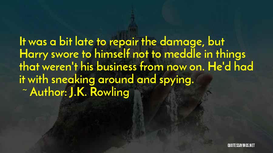J.K. Rowling Quotes: It Was A Bit Late To Repair The Damage, But Harry Swore To Himself Not To Meddle In Things That