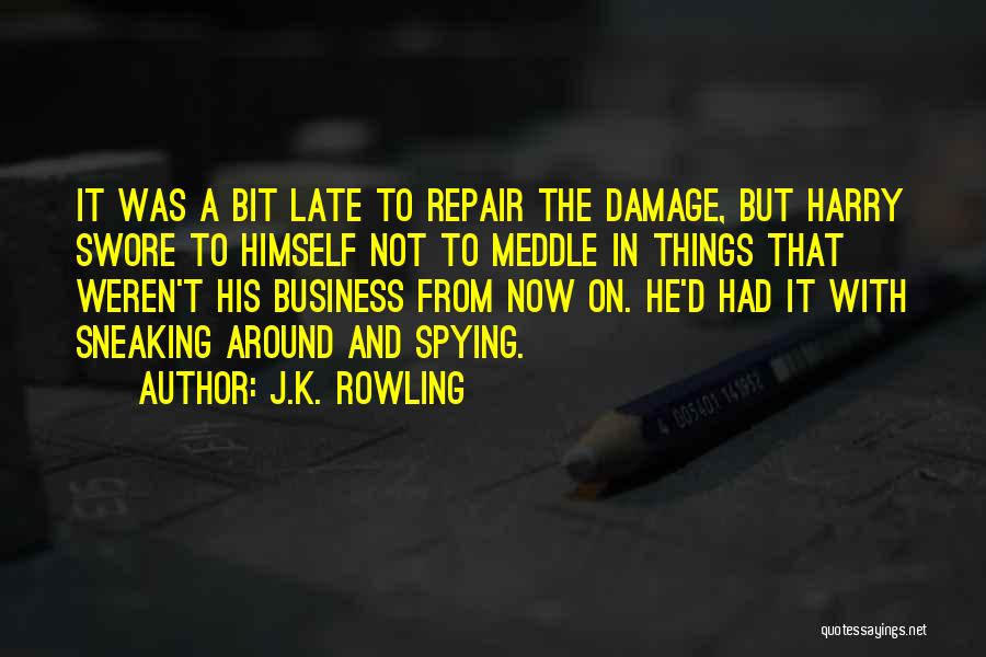 J.K. Rowling Quotes: It Was A Bit Late To Repair The Damage, But Harry Swore To Himself Not To Meddle In Things That