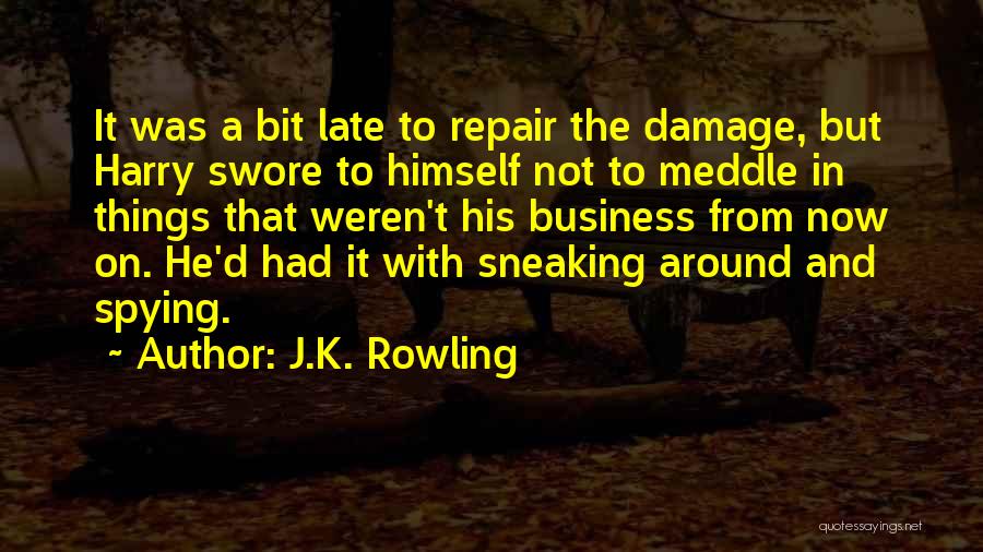 J.K. Rowling Quotes: It Was A Bit Late To Repair The Damage, But Harry Swore To Himself Not To Meddle In Things That