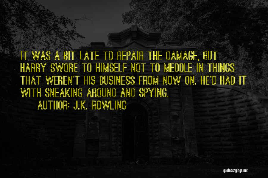 J.K. Rowling Quotes: It Was A Bit Late To Repair The Damage, But Harry Swore To Himself Not To Meddle In Things That