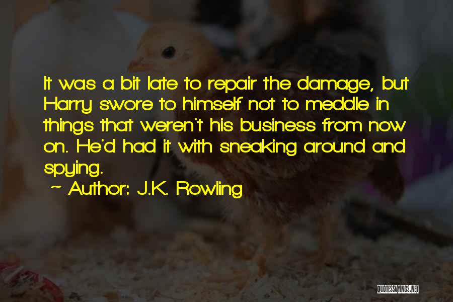 J.K. Rowling Quotes: It Was A Bit Late To Repair The Damage, But Harry Swore To Himself Not To Meddle In Things That