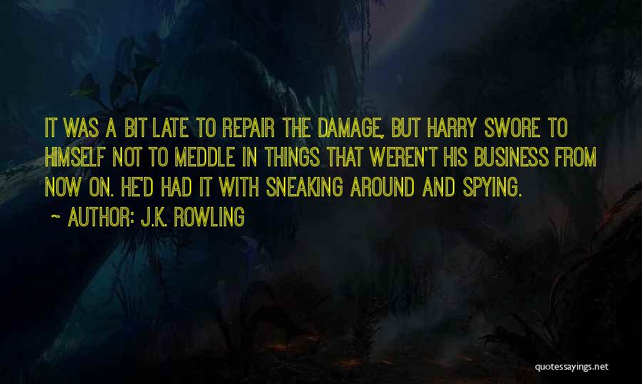 J.K. Rowling Quotes: It Was A Bit Late To Repair The Damage, But Harry Swore To Himself Not To Meddle In Things That