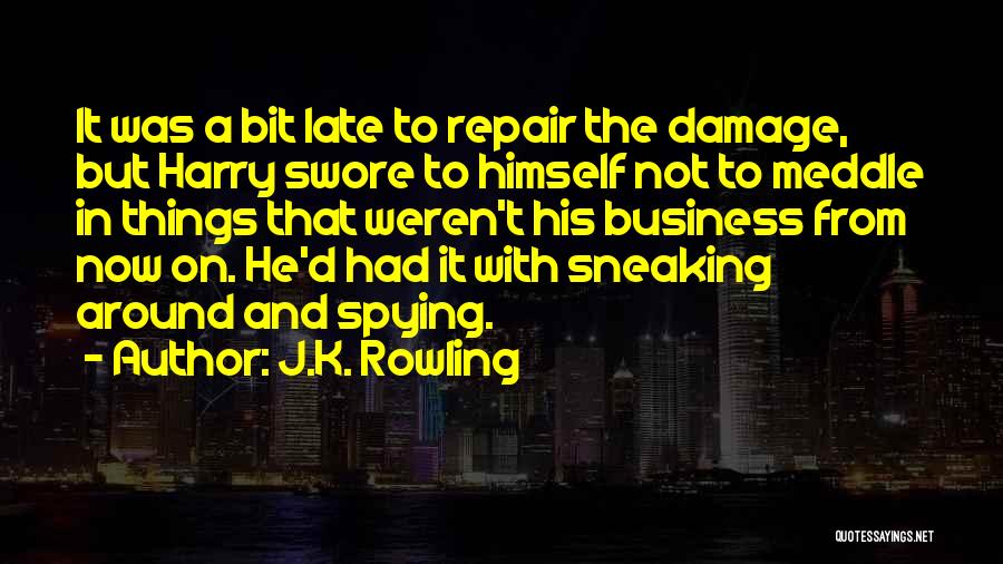 J.K. Rowling Quotes: It Was A Bit Late To Repair The Damage, But Harry Swore To Himself Not To Meddle In Things That