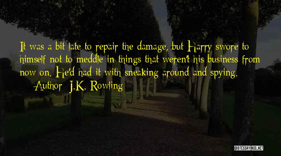 J.K. Rowling Quotes: It Was A Bit Late To Repair The Damage, But Harry Swore To Himself Not To Meddle In Things That