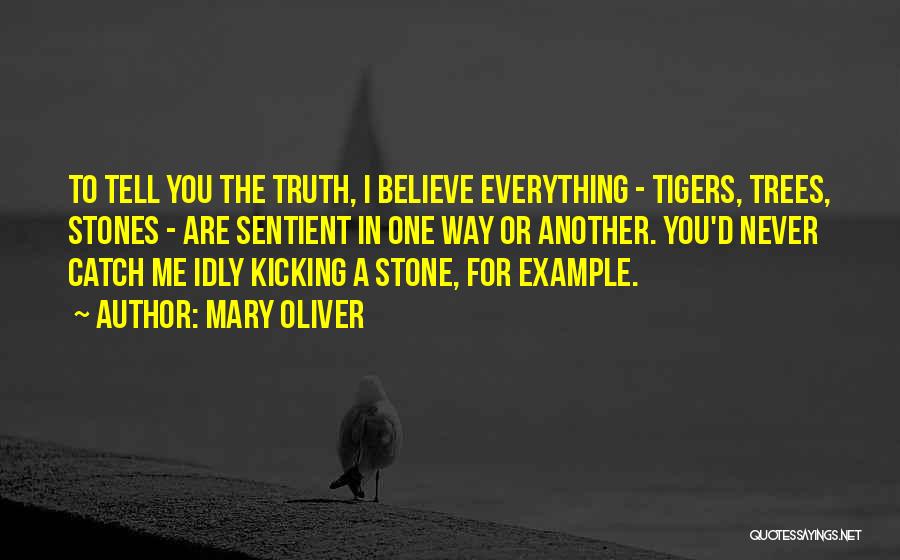 Mary Oliver Quotes: To Tell You The Truth, I Believe Everything - Tigers, Trees, Stones - Are Sentient In One Way Or Another.