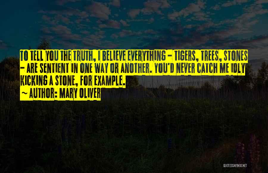 Mary Oliver Quotes: To Tell You The Truth, I Believe Everything - Tigers, Trees, Stones - Are Sentient In One Way Or Another.
