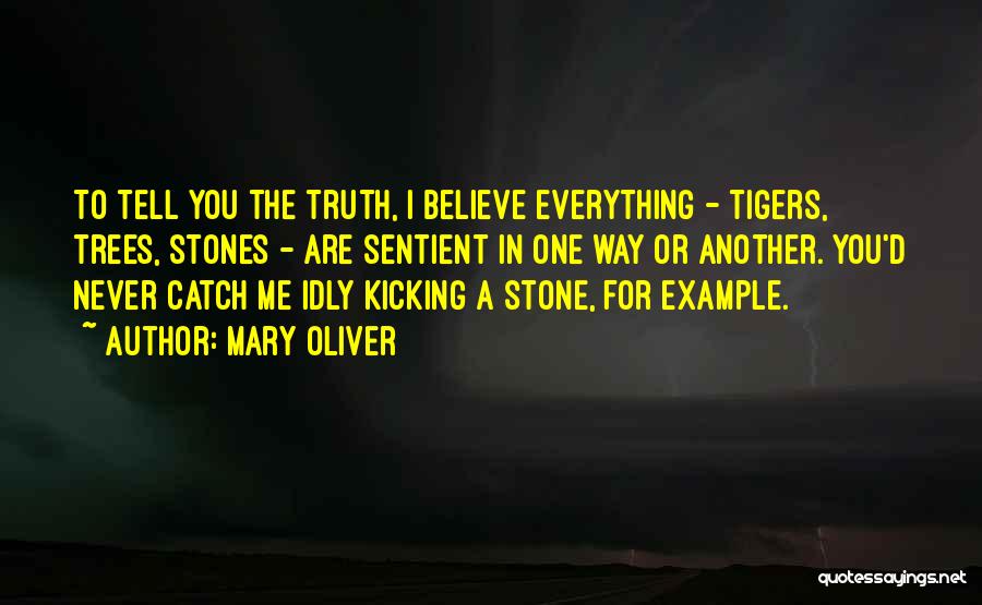 Mary Oliver Quotes: To Tell You The Truth, I Believe Everything - Tigers, Trees, Stones - Are Sentient In One Way Or Another.