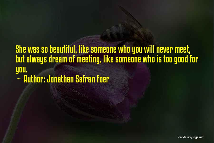 Jonathan Safran Foer Quotes: She Was So Beautiful, Like Someone Who You Will Never Meet, But Always Dream Of Meeting, Like Someone Who Is