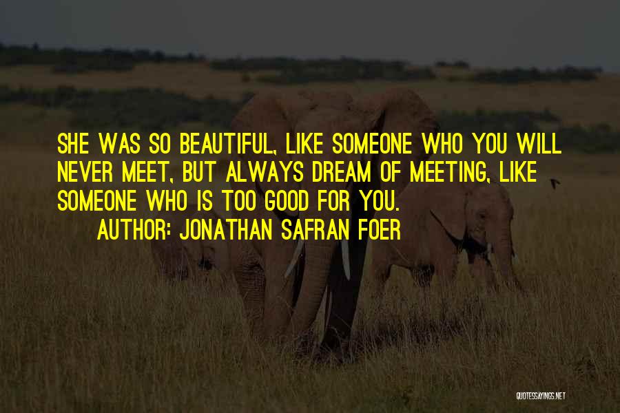 Jonathan Safran Foer Quotes: She Was So Beautiful, Like Someone Who You Will Never Meet, But Always Dream Of Meeting, Like Someone Who Is