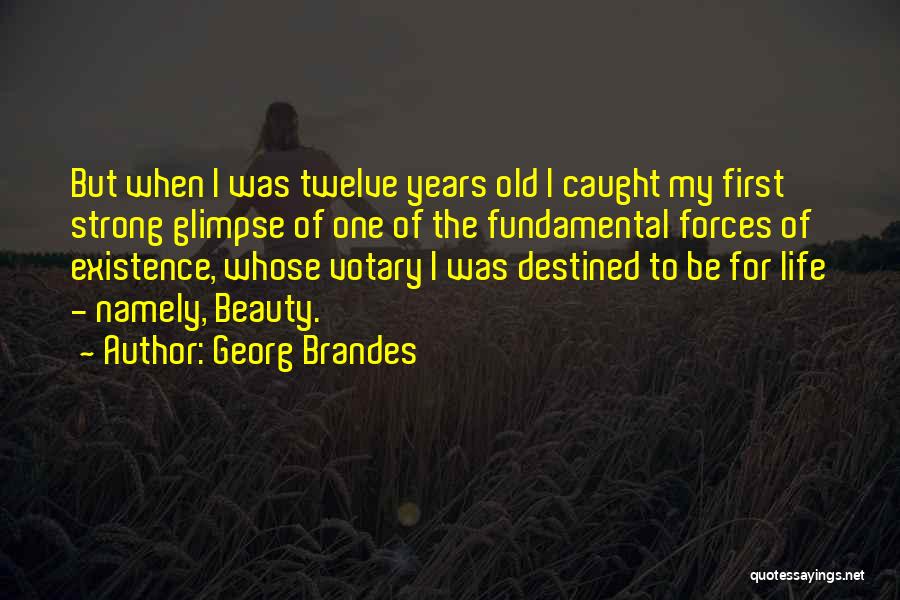 Georg Brandes Quotes: But When I Was Twelve Years Old I Caught My First Strong Glimpse Of One Of The Fundamental Forces Of