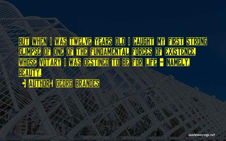 Georg Brandes Quotes: But When I Was Twelve Years Old I Caught My First Strong Glimpse Of One Of The Fundamental Forces Of