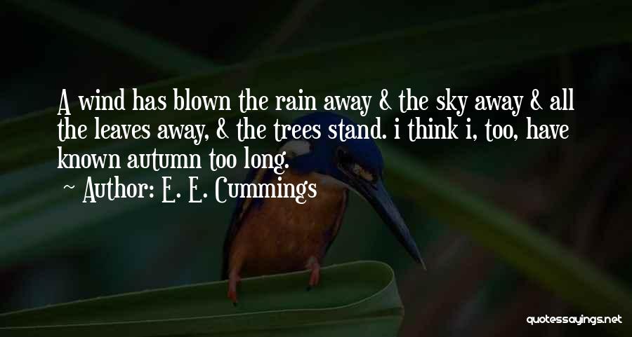 E. E. Cummings Quotes: A Wind Has Blown The Rain Away & The Sky Away & All The Leaves Away, & The Trees Stand.