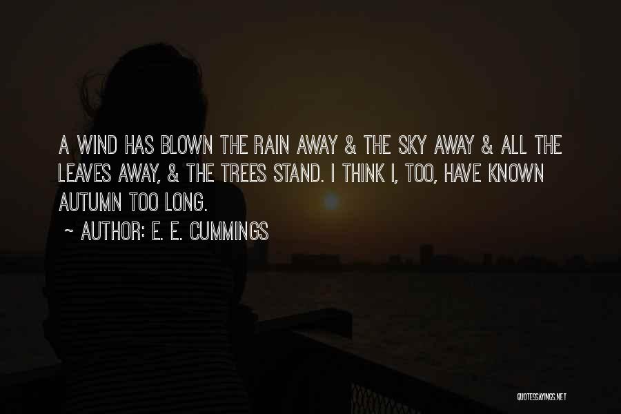 E. E. Cummings Quotes: A Wind Has Blown The Rain Away & The Sky Away & All The Leaves Away, & The Trees Stand.