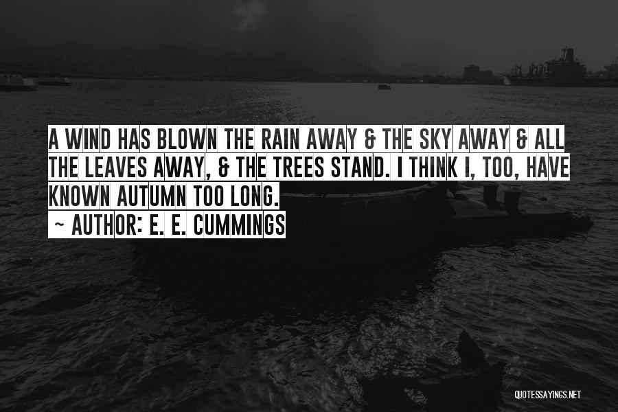 E. E. Cummings Quotes: A Wind Has Blown The Rain Away & The Sky Away & All The Leaves Away, & The Trees Stand.
