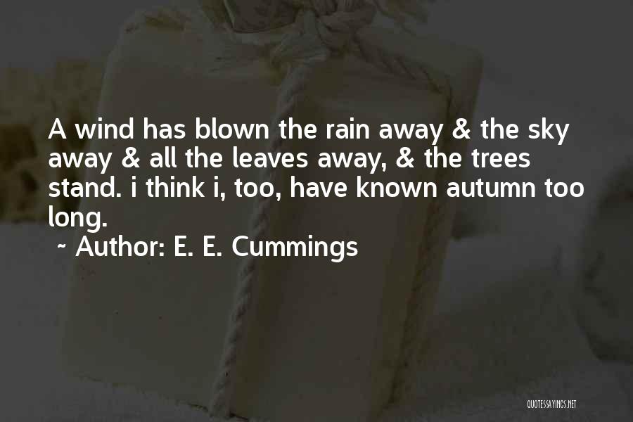 E. E. Cummings Quotes: A Wind Has Blown The Rain Away & The Sky Away & All The Leaves Away, & The Trees Stand.