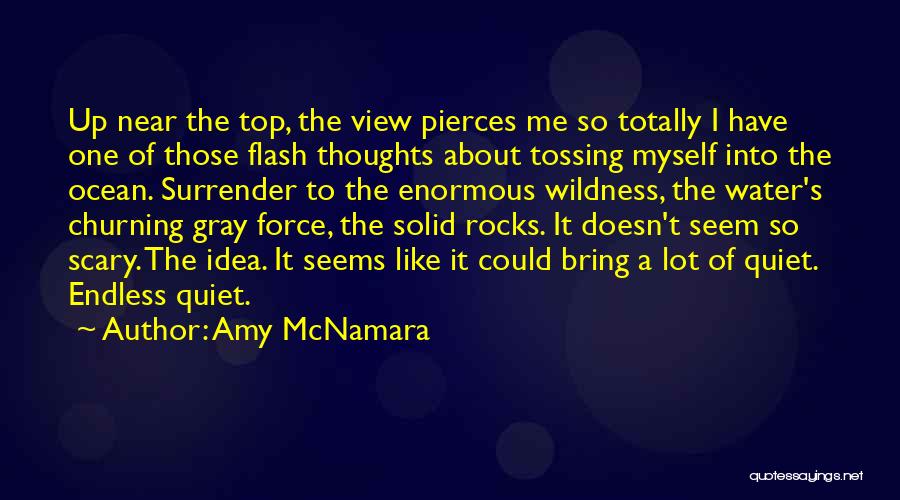 Amy McNamara Quotes: Up Near The Top, The View Pierces Me So Totally I Have One Of Those Flash Thoughts About Tossing Myself