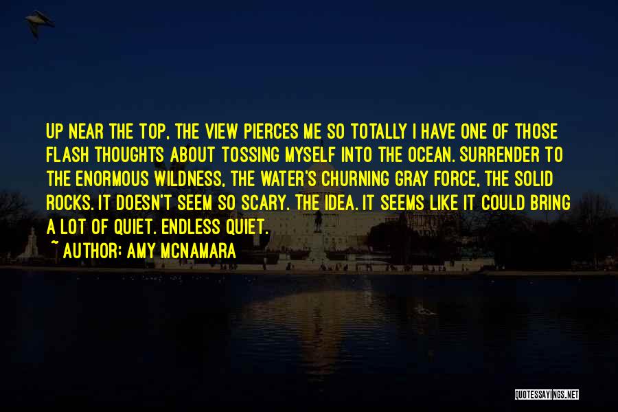 Amy McNamara Quotes: Up Near The Top, The View Pierces Me So Totally I Have One Of Those Flash Thoughts About Tossing Myself