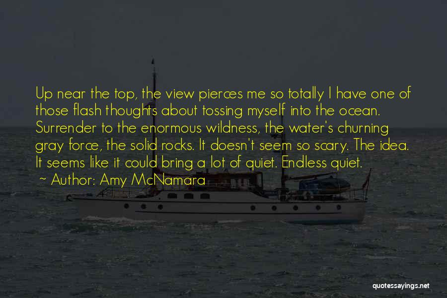 Amy McNamara Quotes: Up Near The Top, The View Pierces Me So Totally I Have One Of Those Flash Thoughts About Tossing Myself