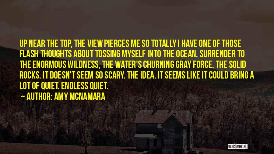 Amy McNamara Quotes: Up Near The Top, The View Pierces Me So Totally I Have One Of Those Flash Thoughts About Tossing Myself