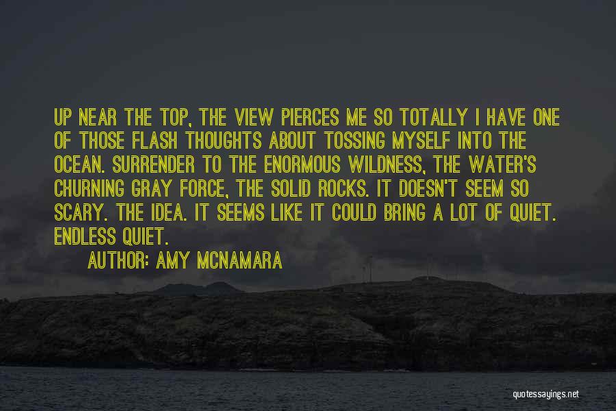 Amy McNamara Quotes: Up Near The Top, The View Pierces Me So Totally I Have One Of Those Flash Thoughts About Tossing Myself