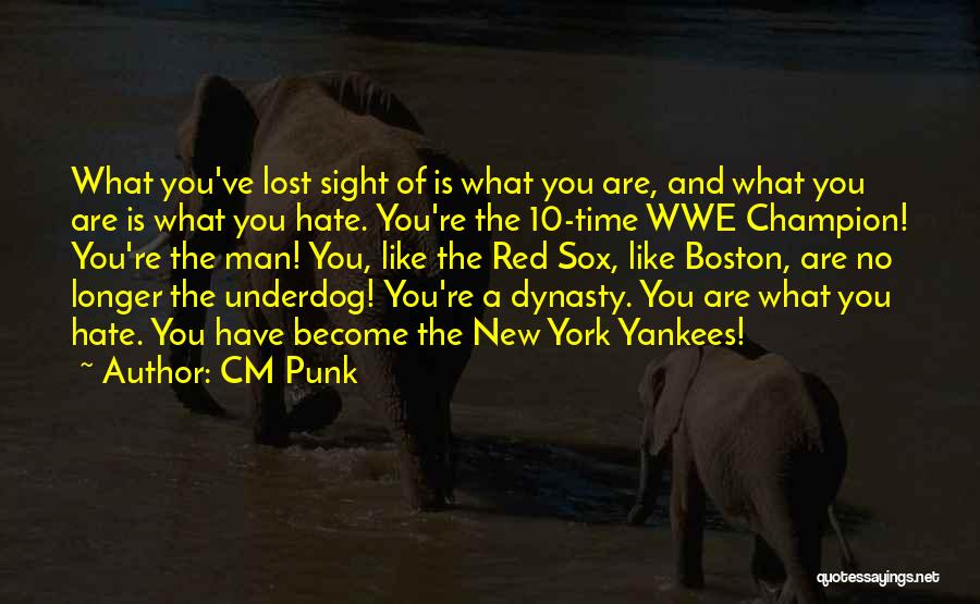 CM Punk Quotes: What You've Lost Sight Of Is What You Are, And What You Are Is What You Hate. You're The 10-time