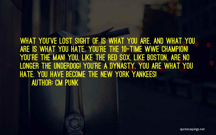 CM Punk Quotes: What You've Lost Sight Of Is What You Are, And What You Are Is What You Hate. You're The 10-time