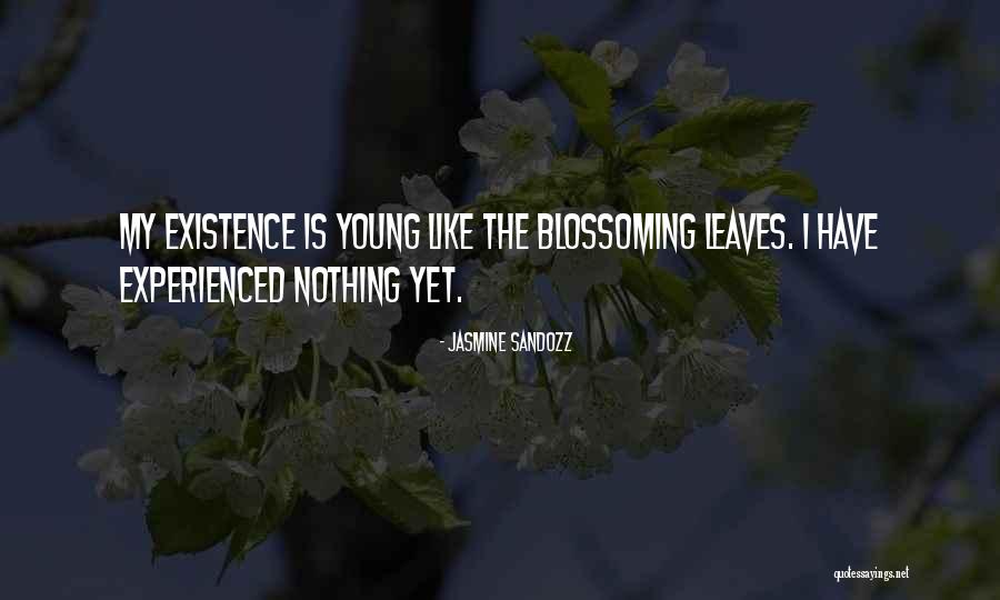 1618 Greensboro Quotes By Jasmine Sandozz 1618 Greensboro Quotes By Jasmine Sandozz