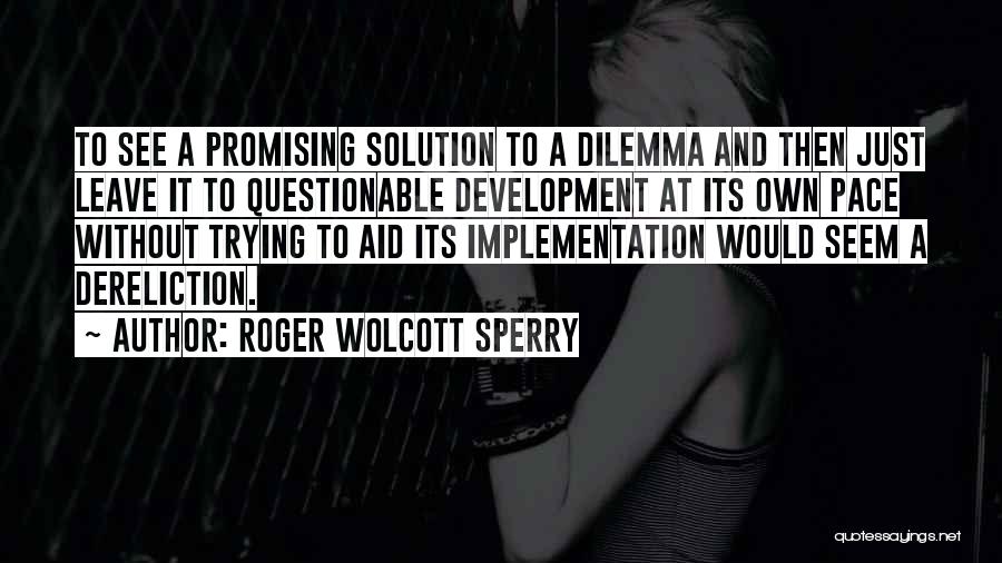 Roger Wolcott Sperry Quotes: To See A Promising Solution To A Dilemma And Then Just Leave It To Questionable Development At Its Own Pace